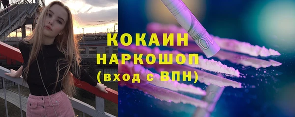 трава Бородино