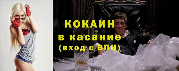 трава Бородино