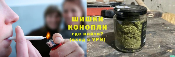 трава Бородино