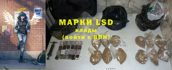 трава Бородино