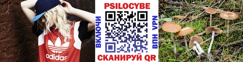 Галлюциногенные грибы Magic Shrooms  Дальнереченск 